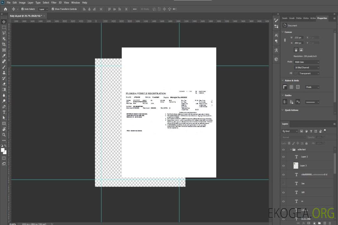 Permis d'immatriculation du véhicule aux États-Unis et en Floride template